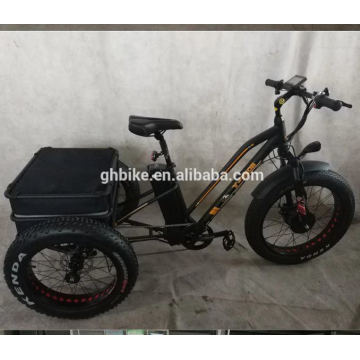 USA Popular Adult Elder Cargo Fat Tire 3 Three Wheels E Tricycle 750W 48V Electric Tricycles 23